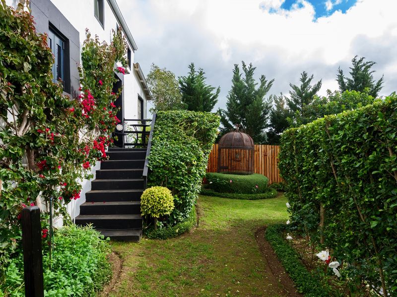 A well-maintained rear garden featuring a timber staircase leading to the house, established hedging, and manicured lawn areas.