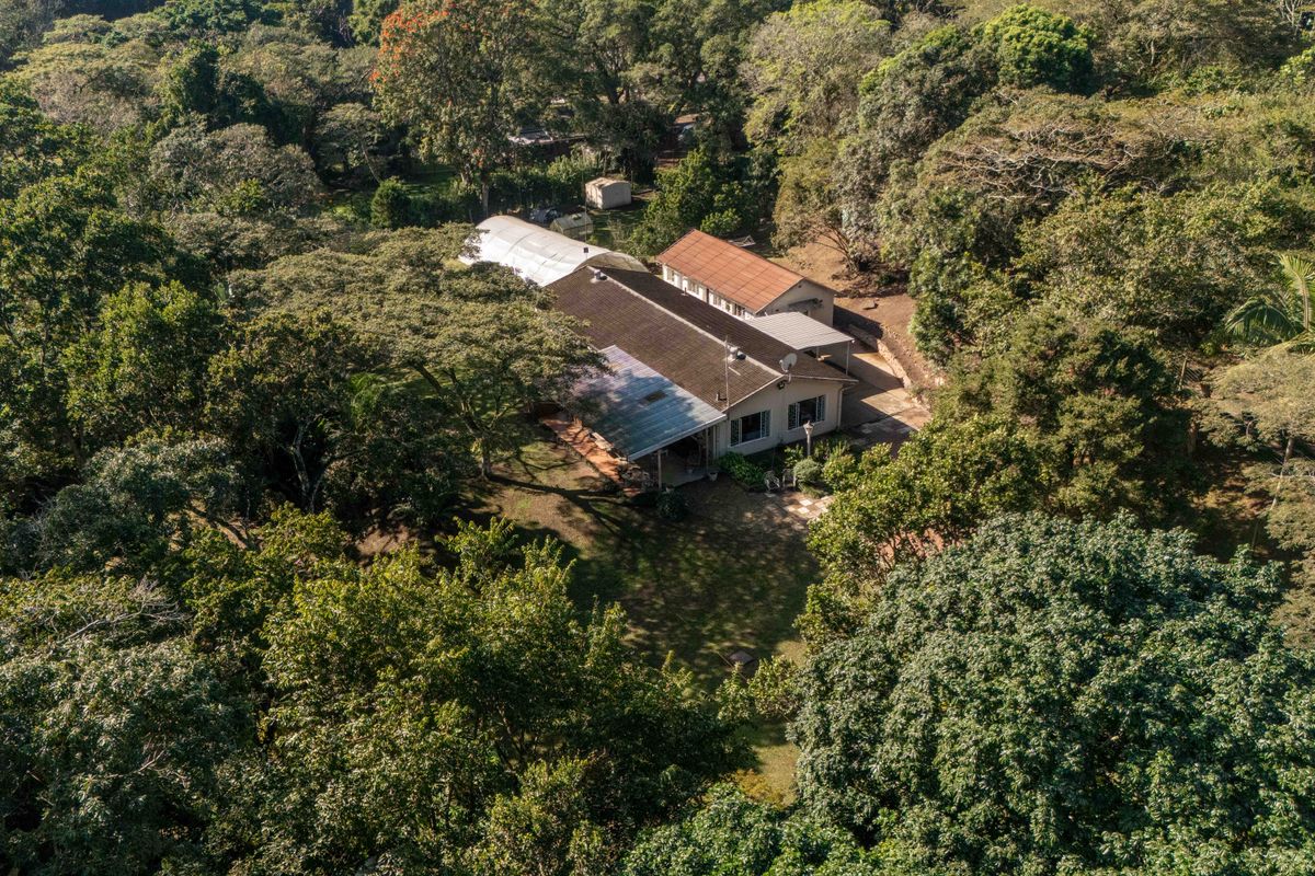 Aerial view of a residential property nestled within a lush, mature garden setting, featuring a tiled roof and a covered patio area.