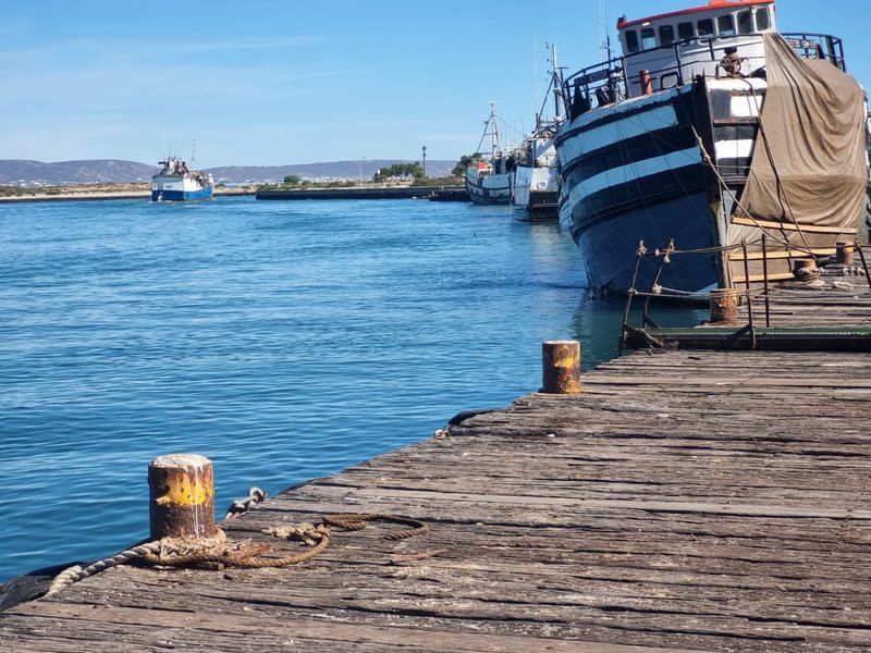A view of a wooden jetty and mooring bollards at a harbour with fishing vessels docked in the water.