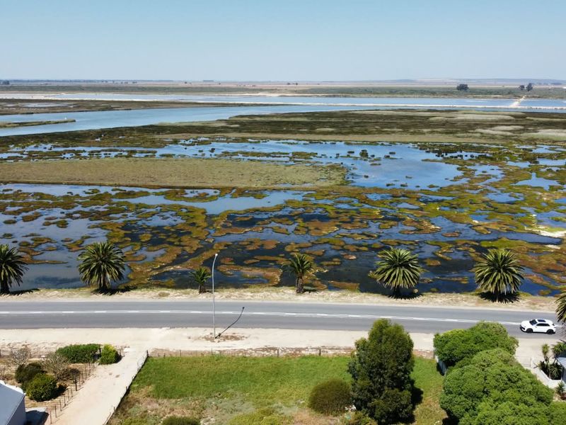 Aerial view of the property surroundings, featuring a coastal road, mature palm trees, and expansive natural wetland scenery.