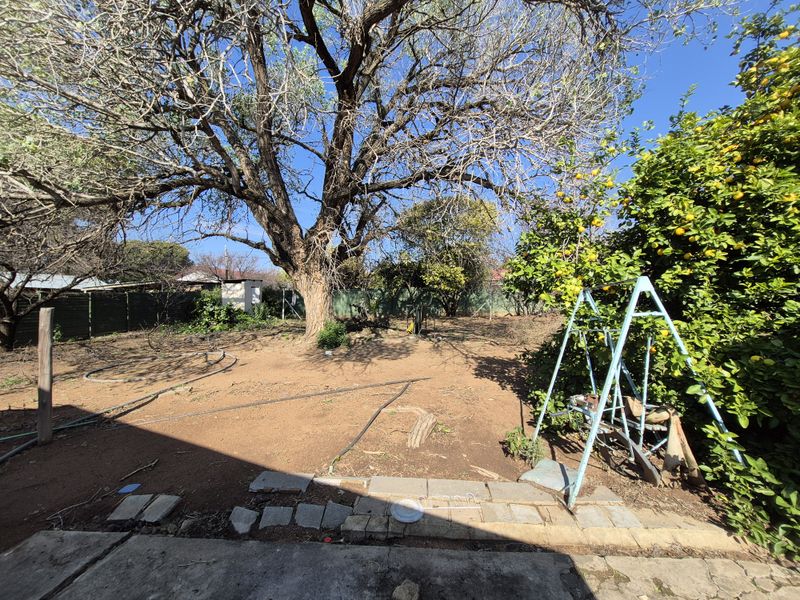 A spacious rear garden featuring a large mature tree, established citrus trees, and perimeter fencing, offering significant potential for landscaping and outdoor improvement.