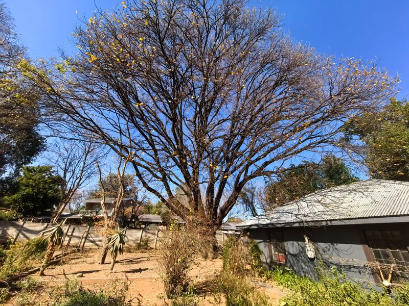 Unique Double Storey home for sale in Parys - Photo 7
