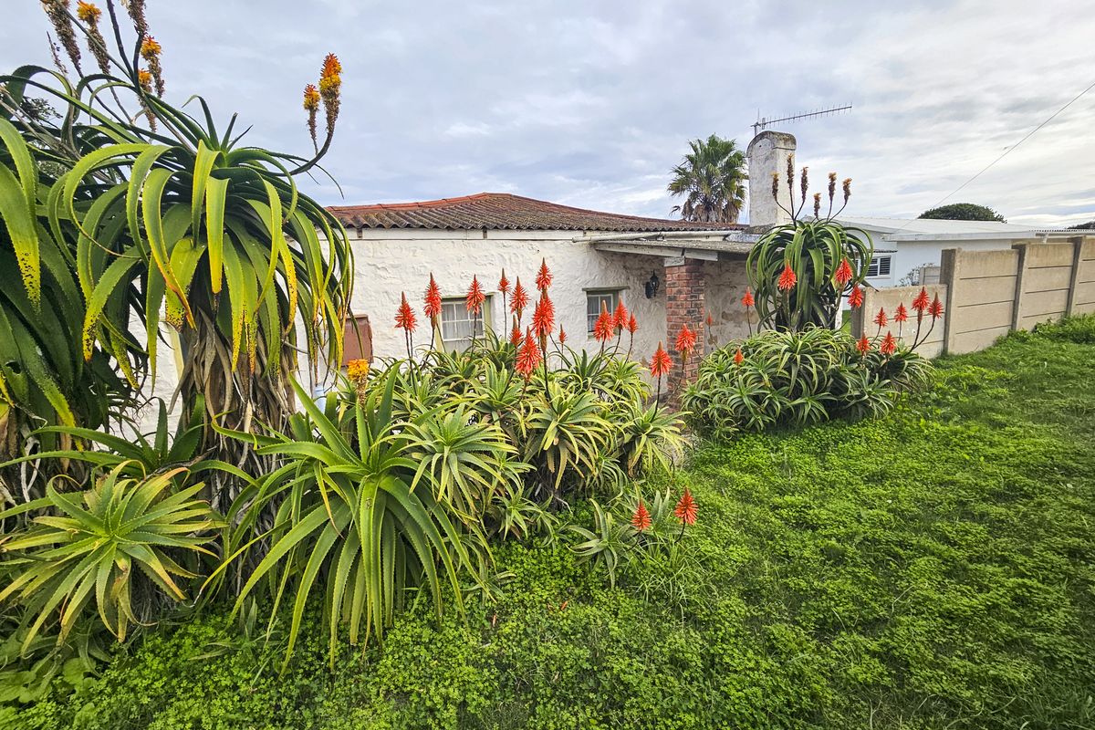 Rear view of the property featuring a masonry chimney, tiled roof, and a precast concrete boundary wall, surrounded by established aloe plants.
