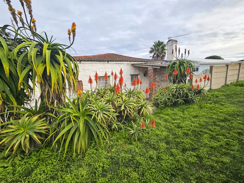 Rear view of the property featuring a masonry chimney, tiled roof, and a precast concrete boundary wall, surrounded by established aloe plants.