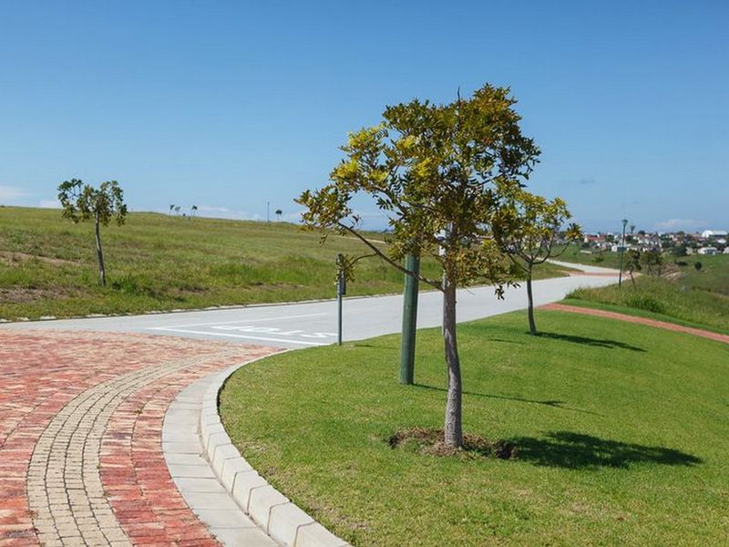 A view of the paved driveway and street infrastructure within a well-maintained residential estate, featuring landscaped verges and clear road markings.