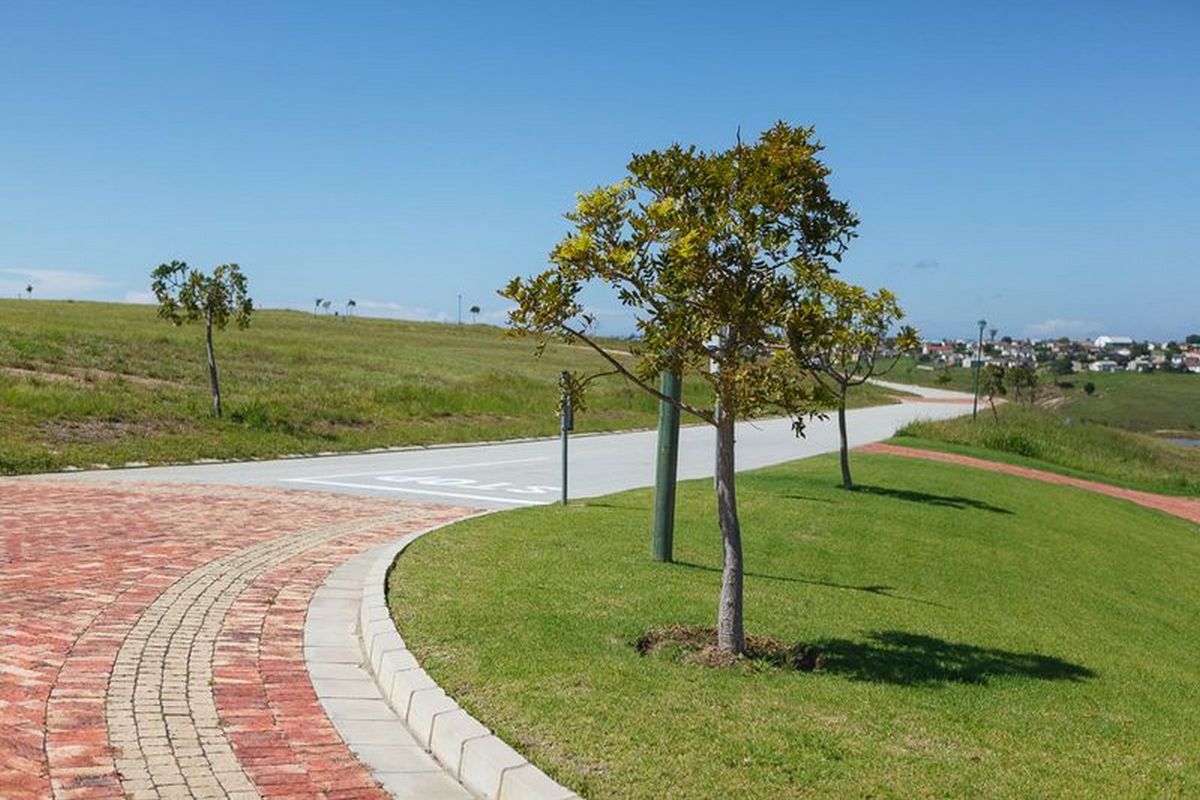 A view of the paved driveway and street infrastructure within a well-maintained residential estate, featuring landscaped verges and clear road markings.