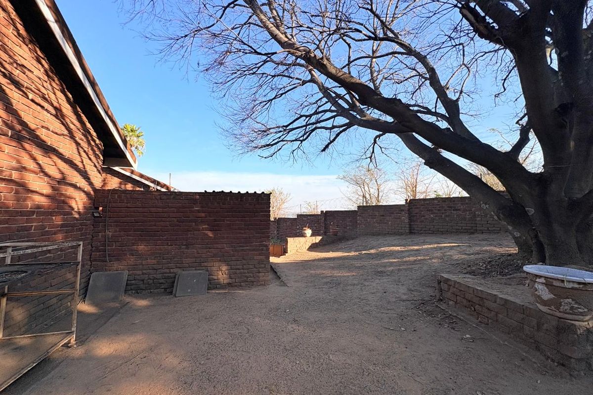 A spacious rear yard featuring a brick boundary wall, exposed brick house facade, and a large mature tree in an unlandscaped setting.