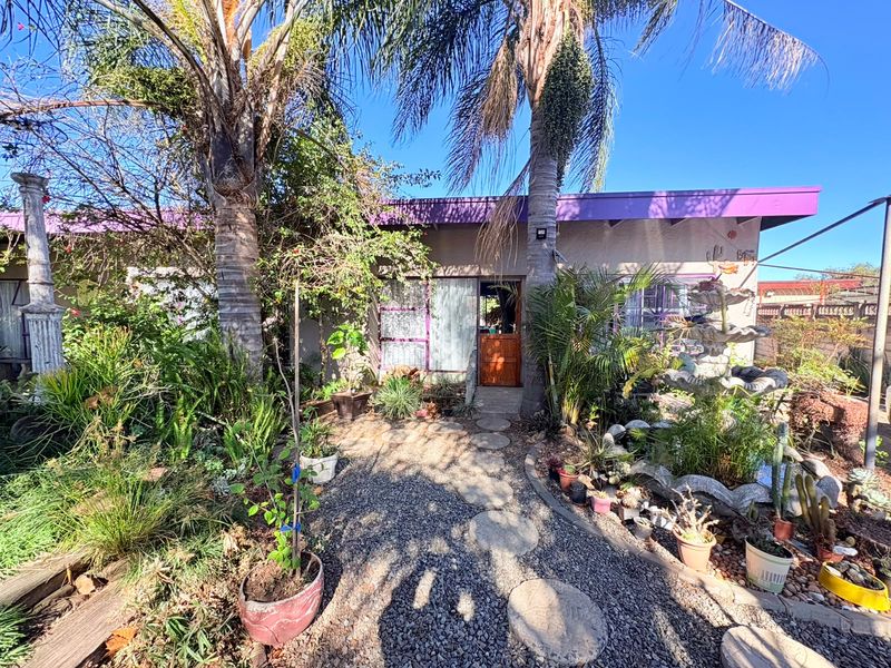 Front exterior view of the house featuring a gravel pathway, established palm trees, a water feature, and a wooden entrance door.