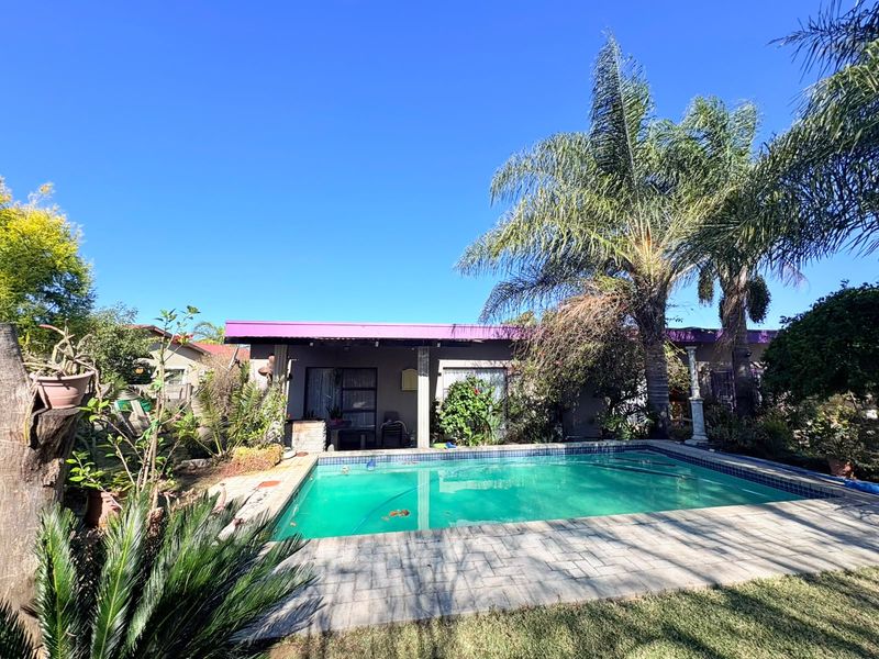 A sunny outdoor pool area featuring a paved deck, established palm trees, and a covered patio space attached to the main residence.
