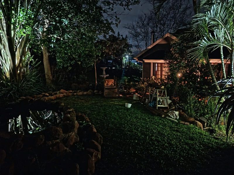 A night view of a landscaped garden featuring a stone-edged pond and mature trees, illuminated by exterior garden lighting.
