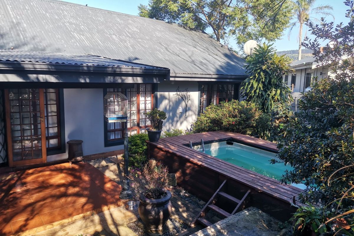 Rear exterior view featuring a tiled patio, timber-decked plunge pool, and access to the home through timber-framed glass doors.