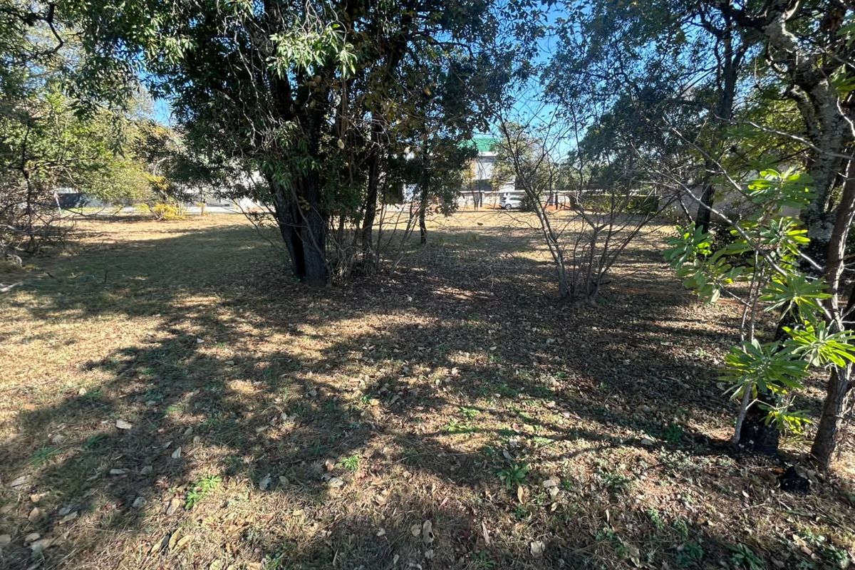A view of a vacant residential plot featuring mature trees and natural ground cover, offering a blank canvas for future development.