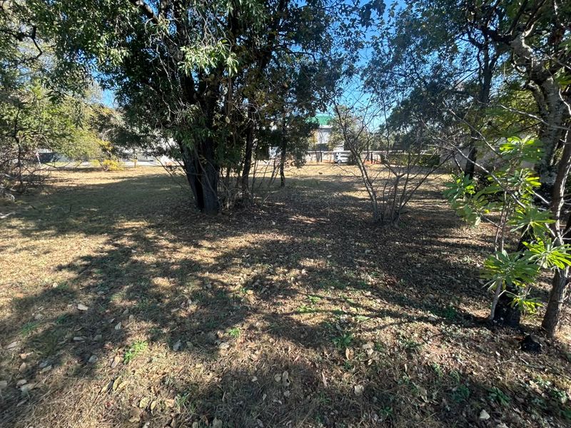 A view of a vacant residential plot featuring mature trees and natural ground cover, offering a blank canvas for future development.
