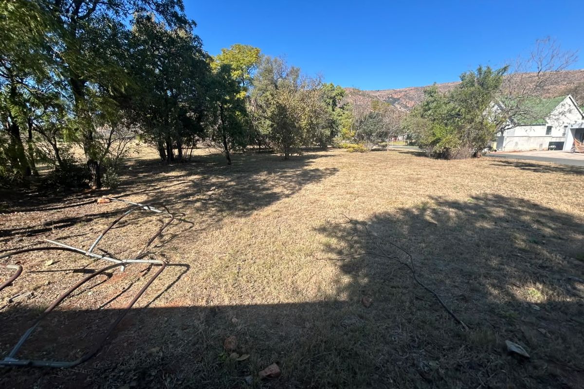 A view of a residential vacant land plot featuring mature trees and dry grass, with some scattered debris present on the ground.