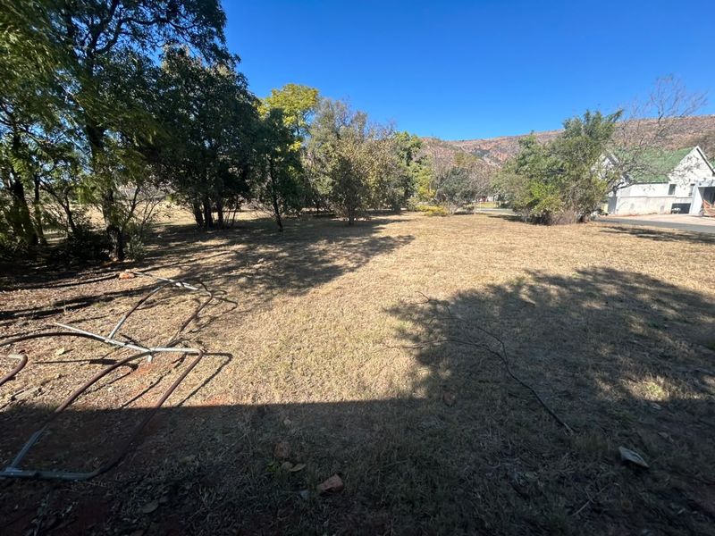 A view of a residential vacant land plot featuring mature trees and dry grass, with some scattered debris present on the ground.
