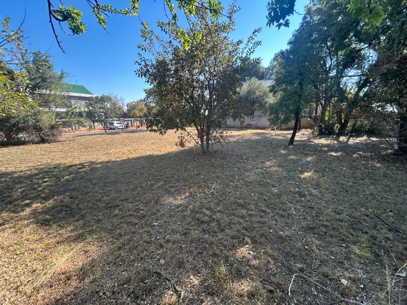 A vacant residential plot featuring established trees and a boundary wall, offering a clear space for future development.