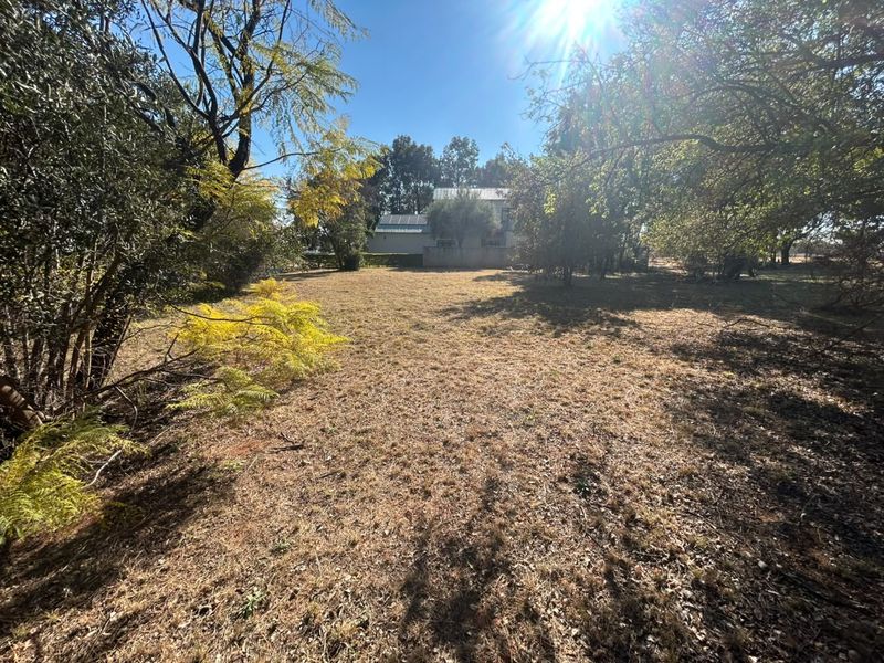 A spacious, sunlit residential plot featuring mature trees and established boundary fencing, offering a blank canvas for future development.
