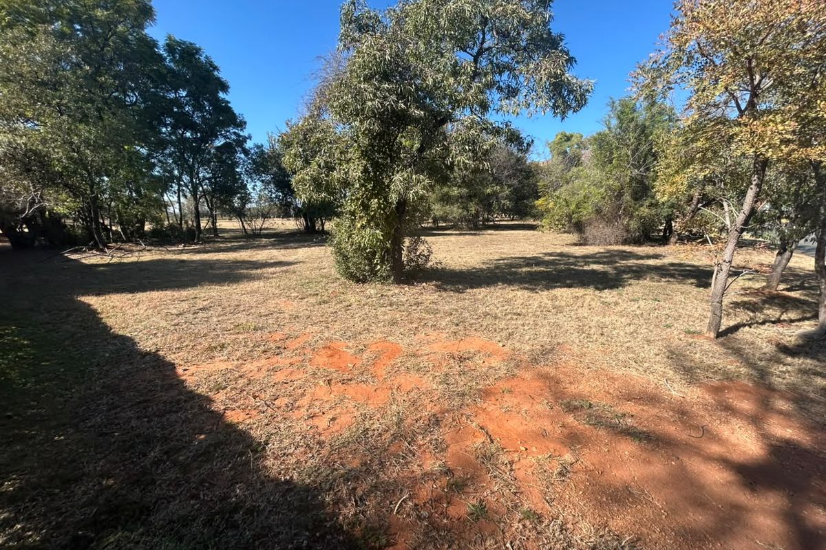 A view of a vacant residential plot featuring established trees and natural ground cover, offering a blank canvas for future development.