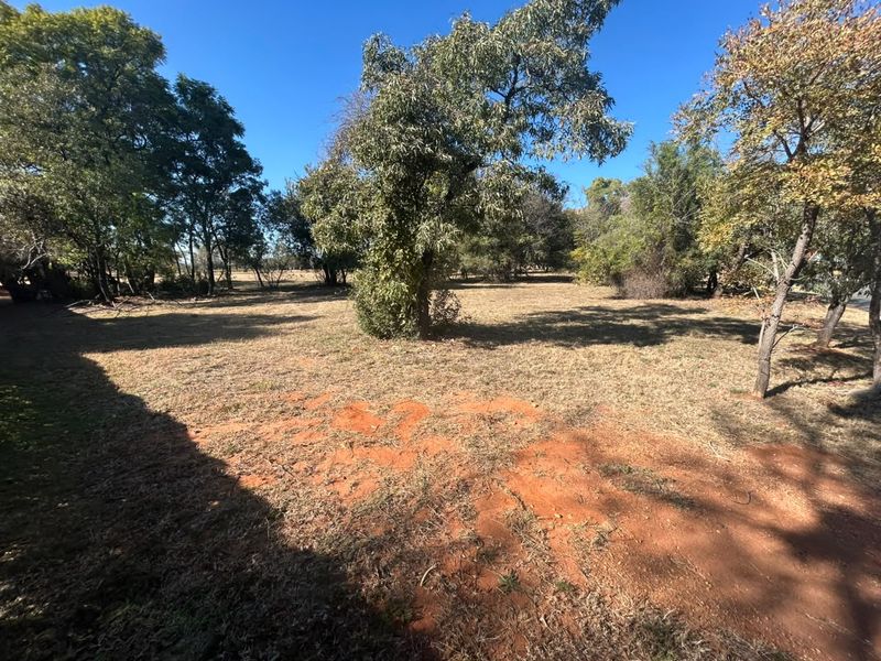 A view of a vacant residential plot featuring established trees and natural ground cover, offering a blank canvas for future development.