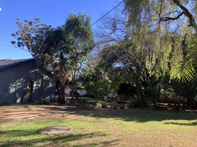 A spacious garden area featuring mature trees, established lawn, and a boundary wall, providing a private outdoor setting.