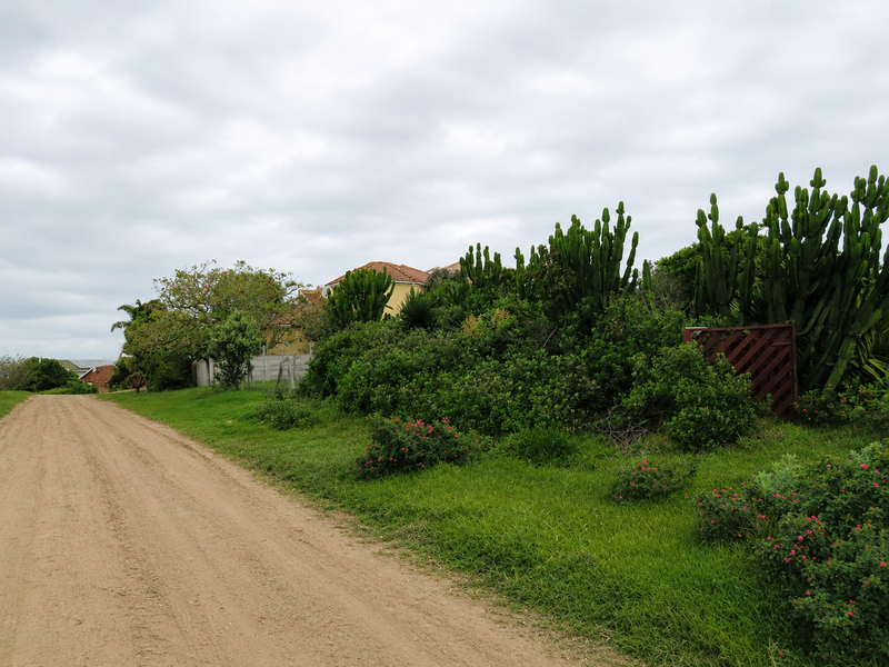 A view of a dirt road frontage with established greenery and perimeter fencing, showcasing the access and natural surroundings of the residential land.