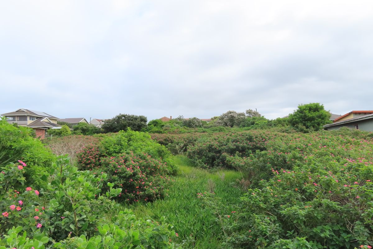 A view of a residential vacant land plot featuring dense natural vegetation and established shrubs.