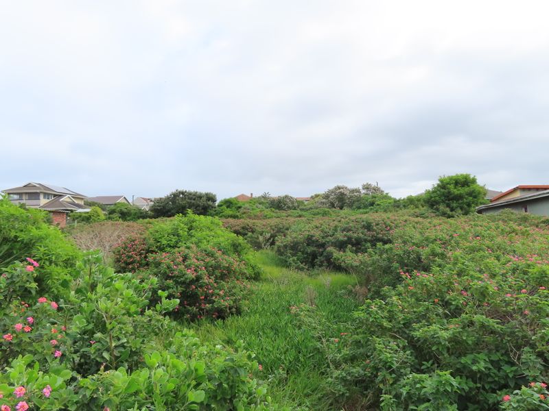 A view of a residential vacant land plot featuring dense natural vegetation and established shrubs.