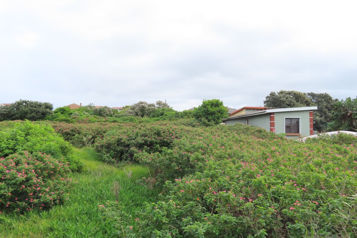 A view of a residential plot featuring dense, overgrown vegetation and shrubbery with a neighboring structure visible in the background.