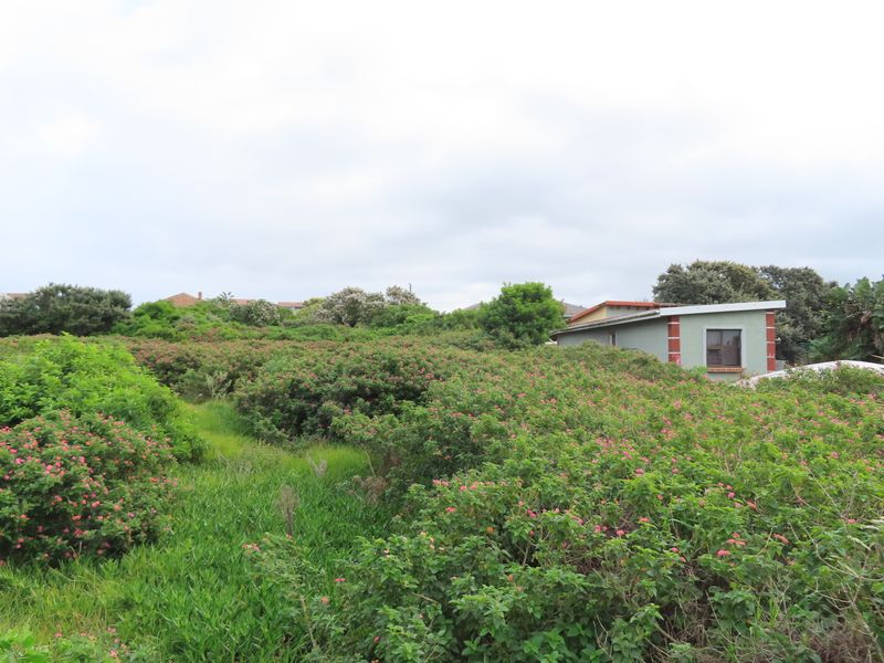 A view of a residential plot featuring dense, overgrown vegetation and shrubbery with a neighboring structure visible in the background.