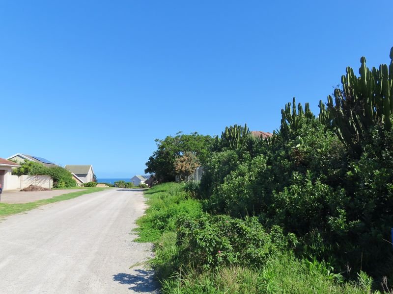 A view of a gravel street in a coastal residential area, featuring established vegetation and a glimpse of the ocean in the distance.