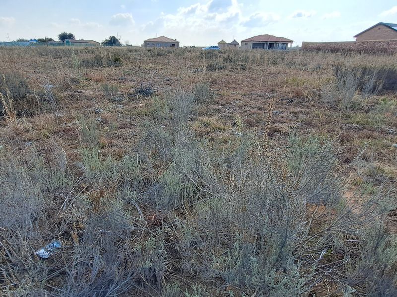 A wide-angle view of a vacant residential plot featuring natural vegetation and surrounding neighborhood development.