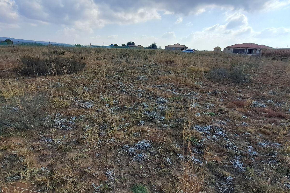 A wide-angle view of a vacant residential plot featuring natural dry vegetation and surrounding neighborhood properties.