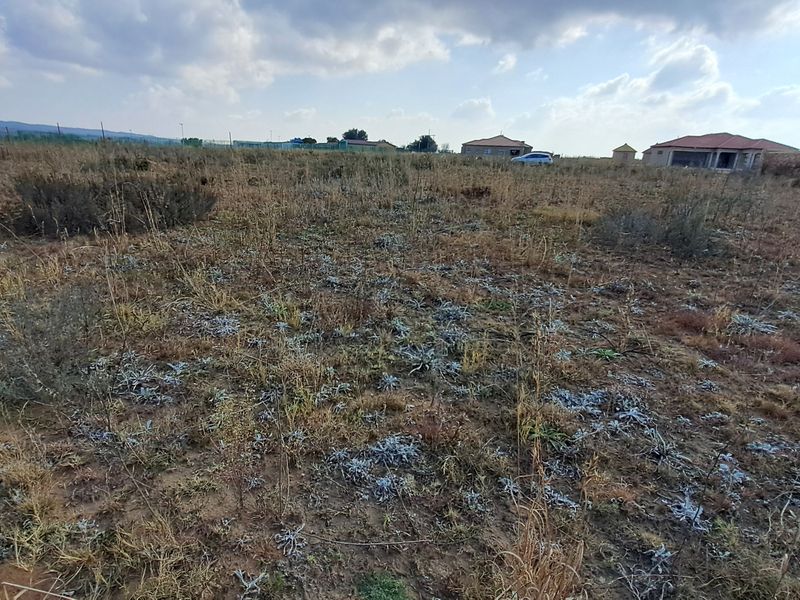 A wide-angle view of a vacant residential plot featuring natural dry vegetation and surrounding neighborhood properties.