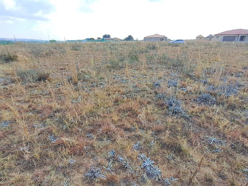 A wide-angle view of a vacant residential plot featuring natural dry grass and surrounding neighborhood development.