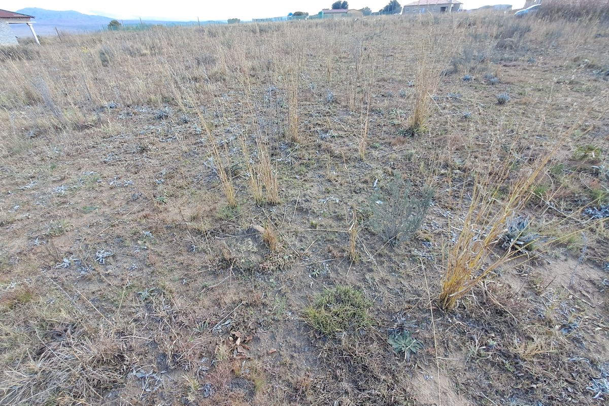 A view of the vacant residential land featuring natural dry grass and surrounding landscape.