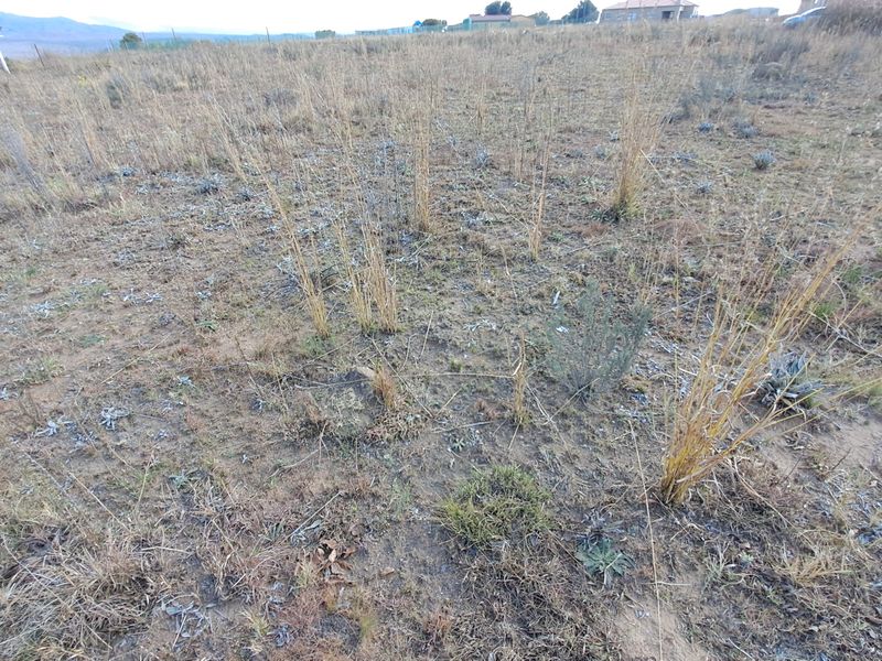 A view of the vacant residential land featuring natural dry grass and surrounding landscape.