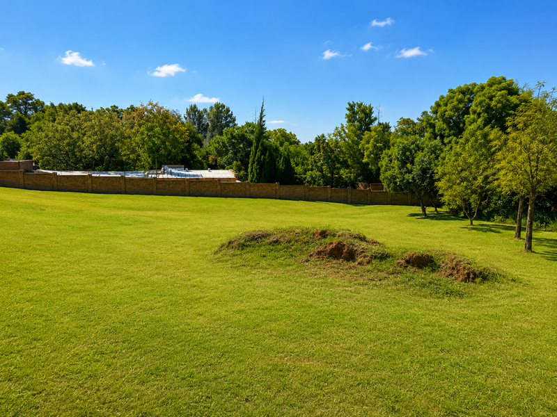 A spacious, well-maintained residential garden featuring a lush green lawn, mature trees, and a solid brick boundary wall.