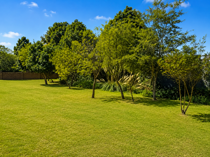 A well-maintained residential garden featuring a spacious green lawn, mature trees, and a brick boundary wall.