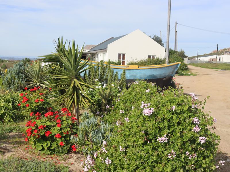 A street-level view of a residential area featuring a dirt road, utility infrastructure, and established garden landscaping.