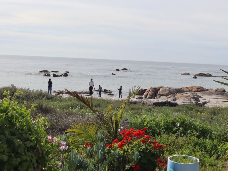 A scenic view of the coastal landscape featuring a rocky shoreline and ocean horizon.