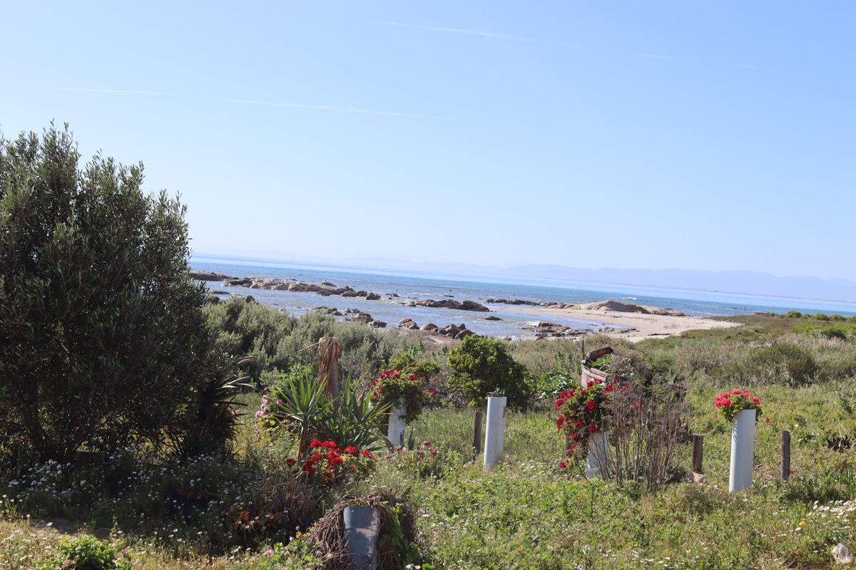 A scenic view of the coastal landscape featuring a rocky shoreline and natural vegetation on a clear day.