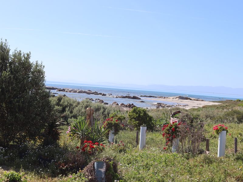 A scenic view of the coastal landscape featuring a rocky shoreline and natural vegetation on a clear day.