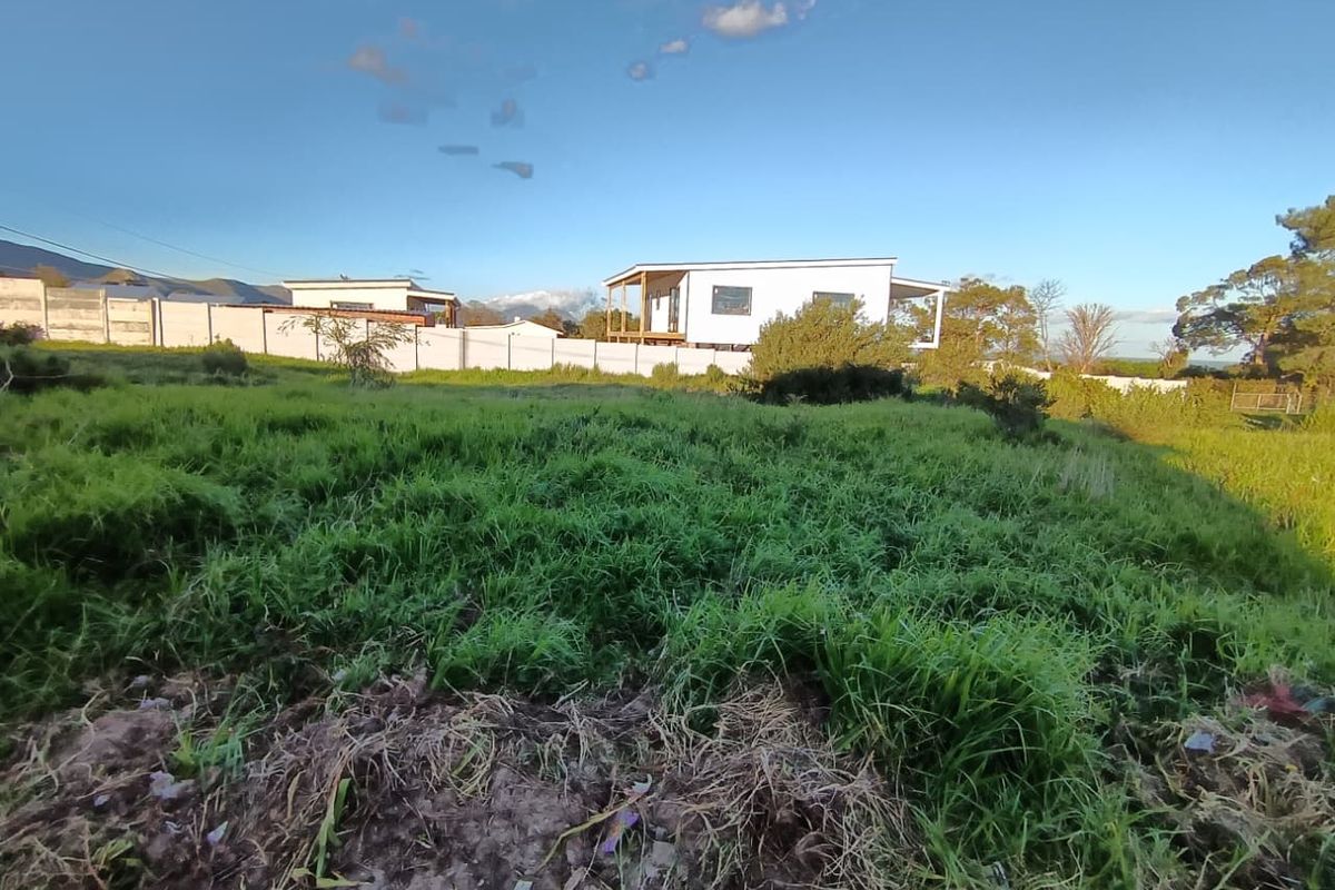 A view of a vacant residential plot featuring natural grassland and a perimeter wall, with neighboring properties visible in the background.
