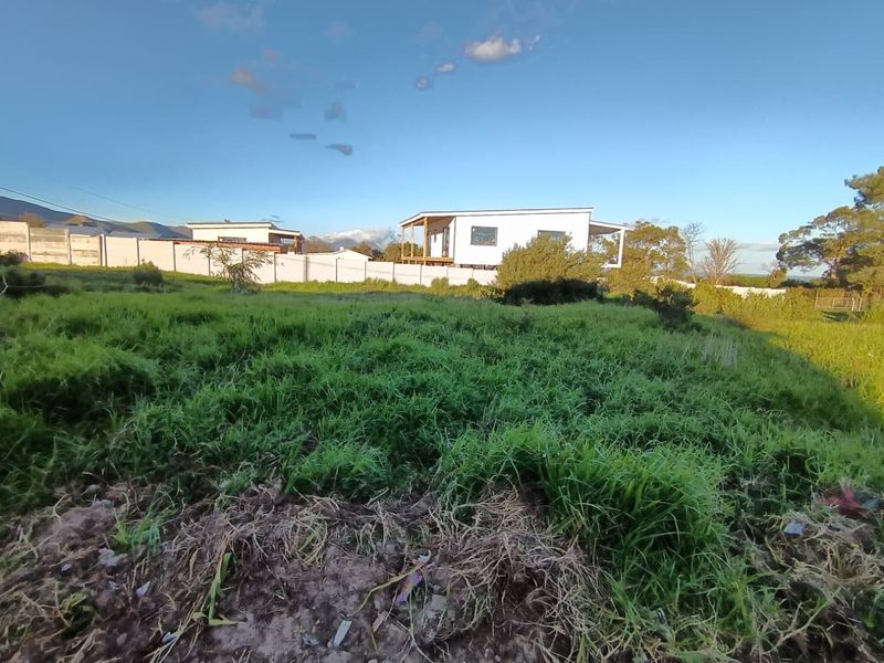 A view of a vacant residential plot featuring natural grassland and a perimeter wall, with neighboring properties visible in the background.