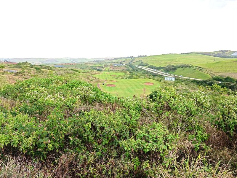 Secure your land in the Prestigious Zimbali Lakes Estate - Photo 10