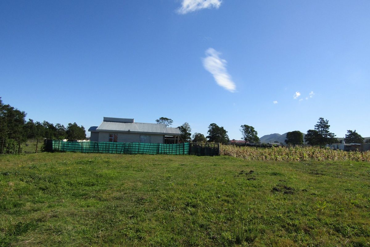 A view of the rear of the property featuring a corrugated metal roof and surrounding garden area.
