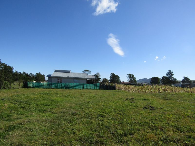 A view of the rear of the property featuring a corrugated metal roof and surrounding garden area.