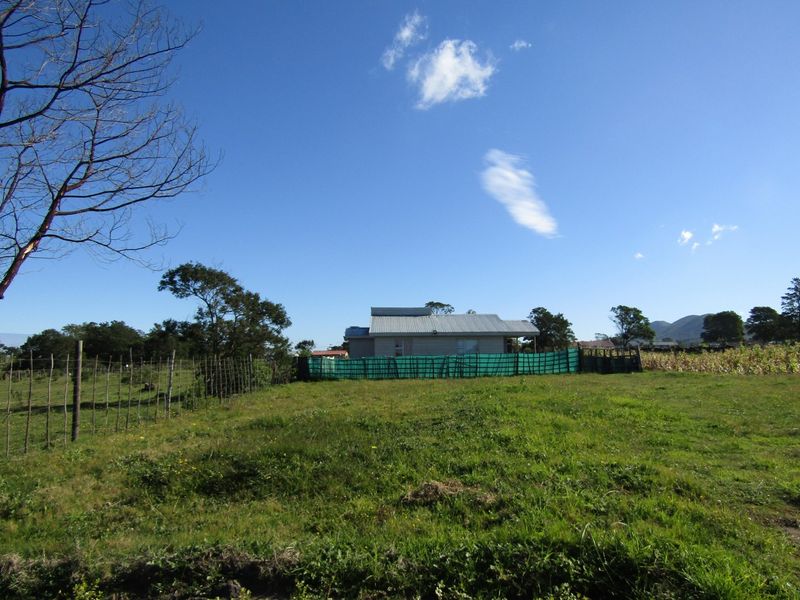 A view of the rear of the property featuring a corrugated metal roof and basic wire fencing with green privacy screening.