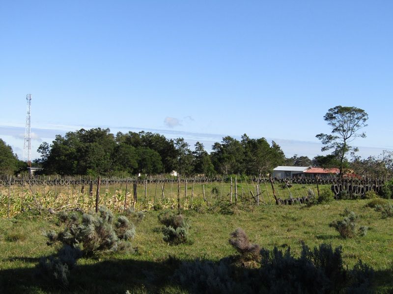 A rural outdoor area featuring a large open field, mature trees, and a makeshift fence boundary constructed with tires.