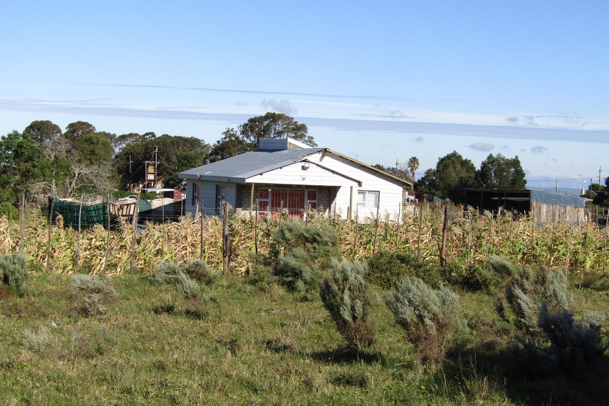 A detached residential property featuring a corrugated metal roof and security gate, situated on a rural plot with surrounding vegetation and an outbuilding.